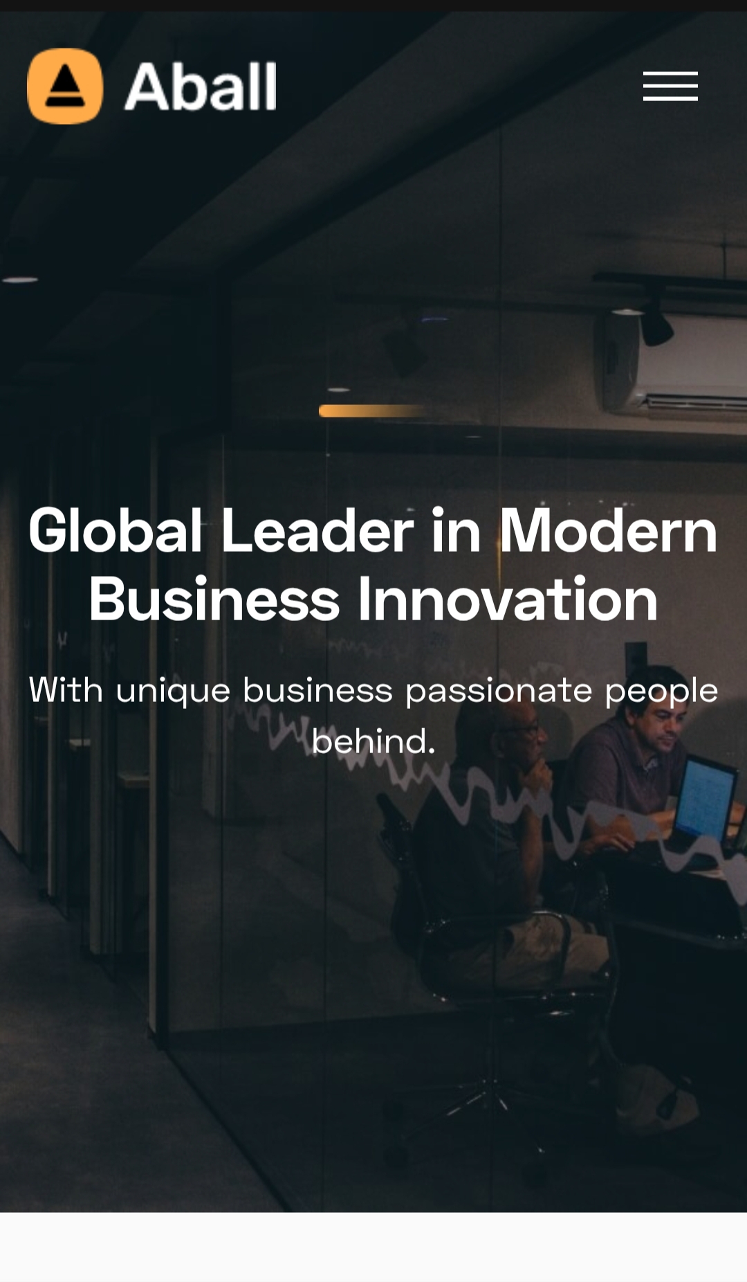 Agency Website